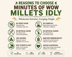 Instant Millets Idly